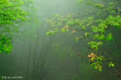 煙雨霏霏不肯收，氤氳掃盡復(fù)登樓