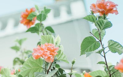 哲理高冷句子說說心情 哲理高冷句子說說心情