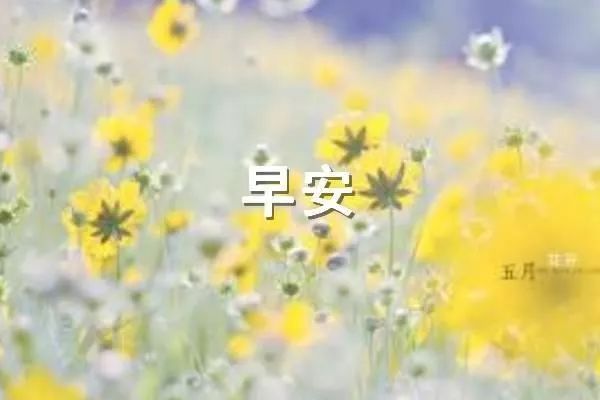 早安最美圖片問候語